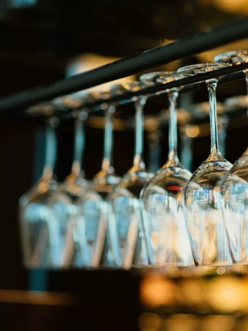 Chuttersnap DOBIZ sqg XM unsplash copy