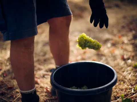 Wayfinder 2023 Elliot Ramsay xlightco 0395