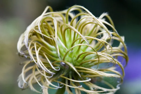 B8 DEW3 Alamy web social only