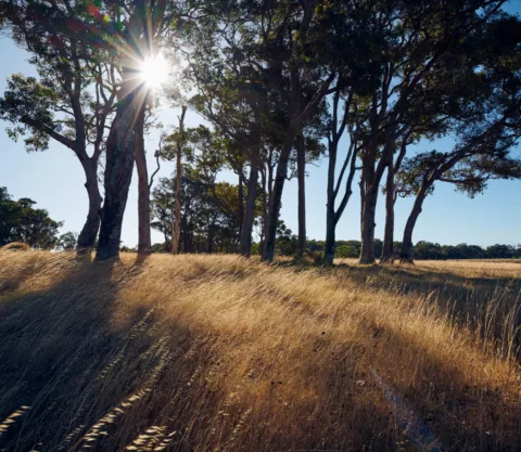 Wayfinder 2023 Elliot Ramsay xlightco 0301