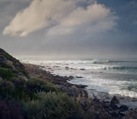 Wayfinder 2023 Elliot Ramsay xlightco 0340