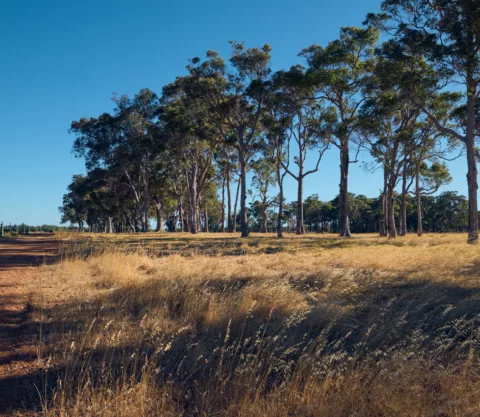 Wayfinder 2023 Elliot Ramsay xlightco 0317