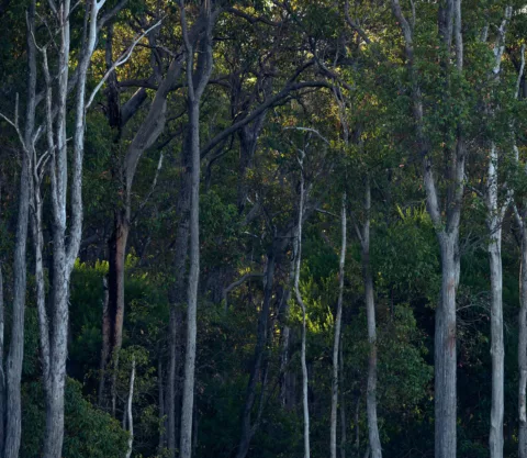 Wayfinder 2023 Elliot Ramsay xlightco 0322