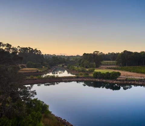 Overstory 2023 Elliot Ramsay xlightco 0648