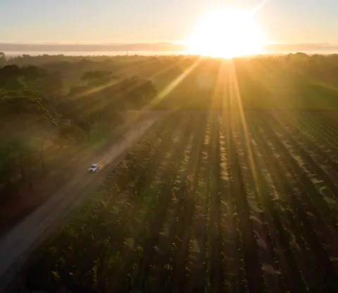 Overstory 2023 Elliot Ramsay xlightco 0659