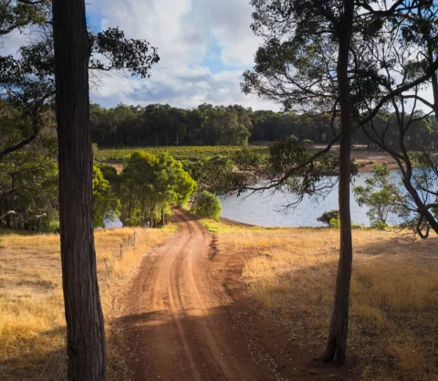 Overstory 2023 Elliot Ramsay xlightco 0676