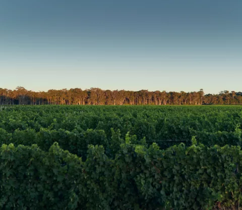 Wayfinder 2023 Elliot Ramsay xlightco 0302